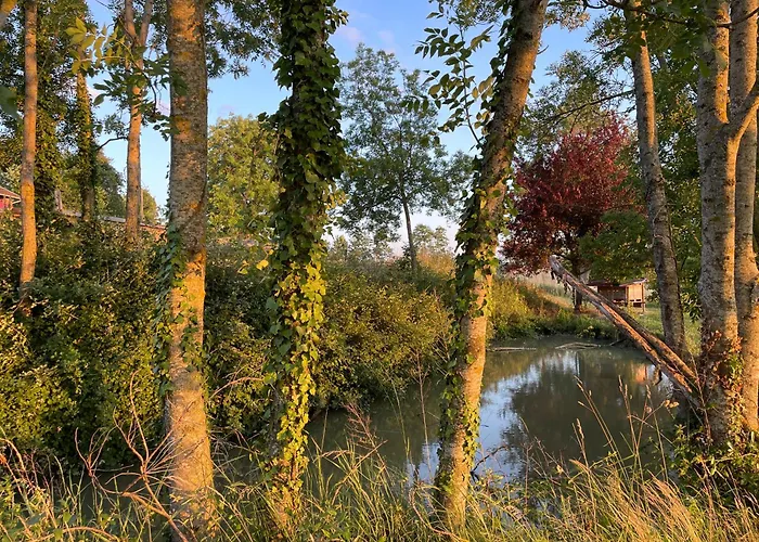 Bel-air Des Collines