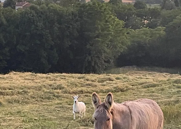 Bel-air Des Collines Pensjonat